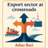 Export sector at crossroads - Ather Bari