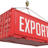 Analysis of Textile Export May 2025